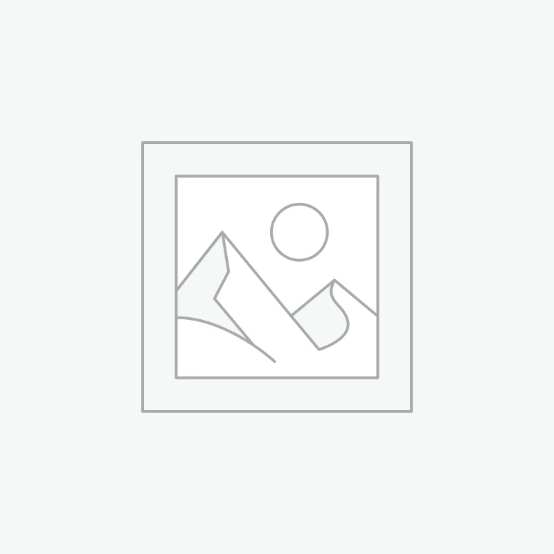 Wireless Headphones Pro